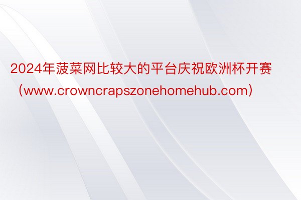 2024年菠菜网比较大的平台庆祝欧洲杯开赛（www.crow